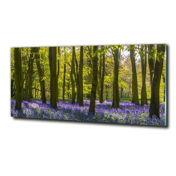 Quadro su vetro Bosco in primavera