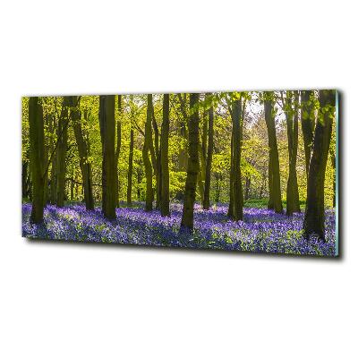 Quadro su vetro Bosco in primavera