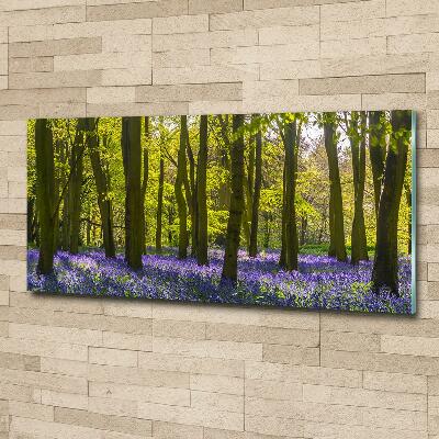 Quadro su vetro Bosco in primavera