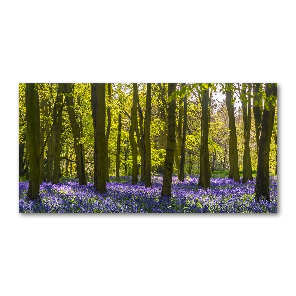 Quadro su vetro Bosco in primavera