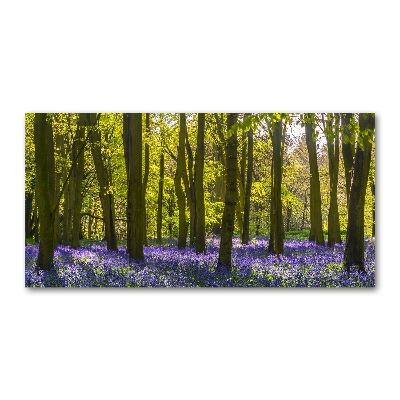 Quadro su vetro Bosco in primavera