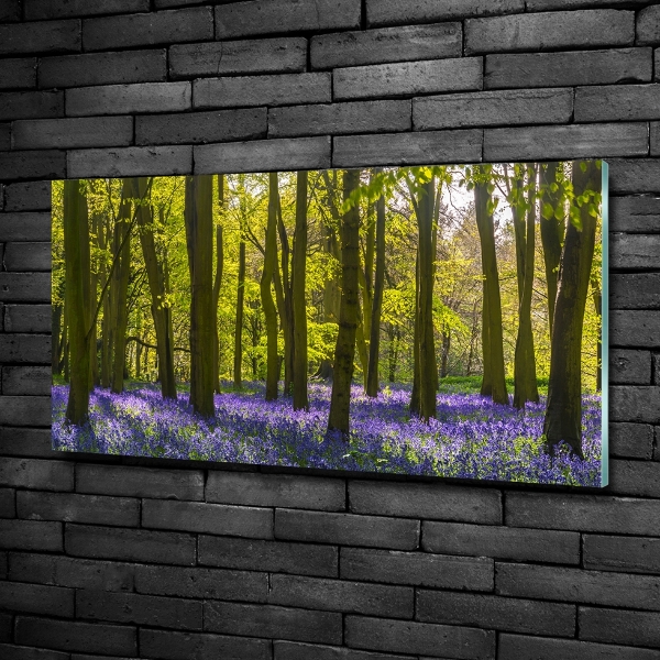 Quadro su vetro Bosco in primavera