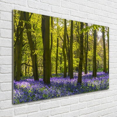 Quadro su vetro Bosco in primavera