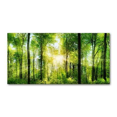 Quadro su vetro Foresta al sole
