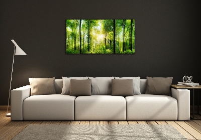 Quadro su vetro Foresta al sole