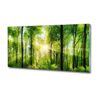 Quadro su vetro Foresta al sole