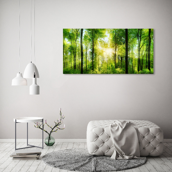 Quadro su vetro Foresta al sole