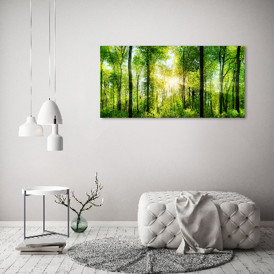 Quadro su vetro Foresta al sole