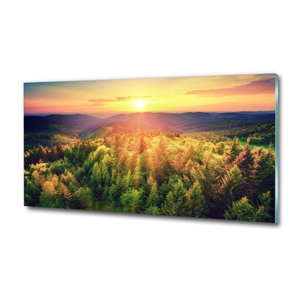Quadro vetro Tramonto nella foresta