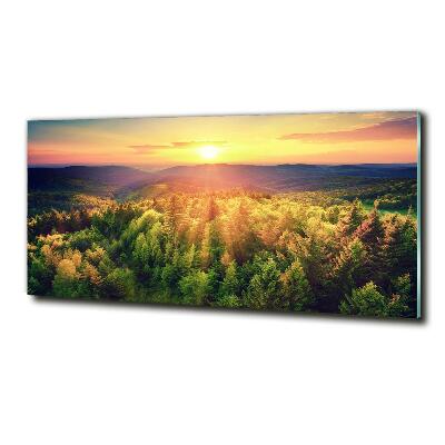 Quadro vetro Tramonto nella foresta