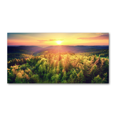 Quadro vetro Tramonto nella foresta