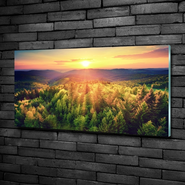 Quadro vetro Tramonto nella foresta
