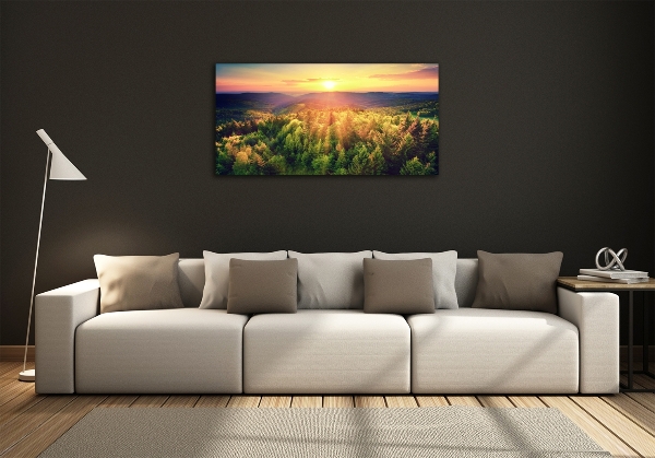 Quadro vetro Tramonto nella foresta