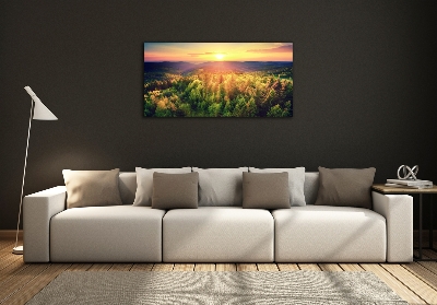 Quadro vetro Tramonto nella foresta