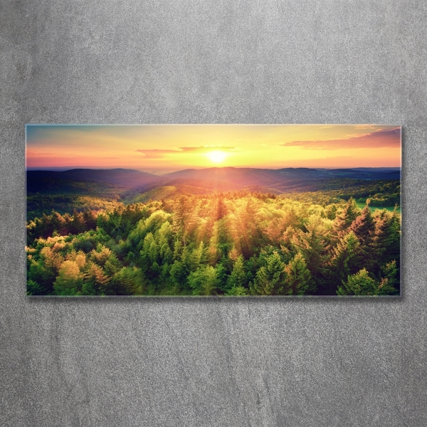 Quadro vetro Tramonto nella foresta