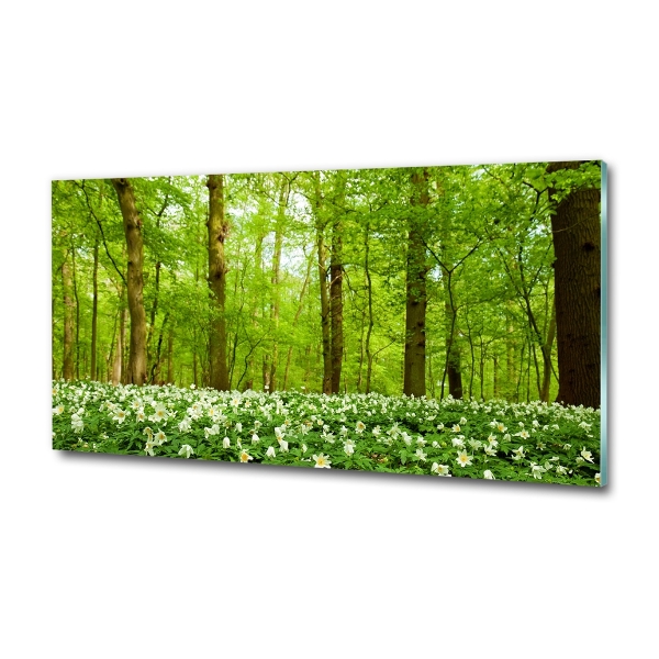 Quadro su vetro Fiori nella foresta