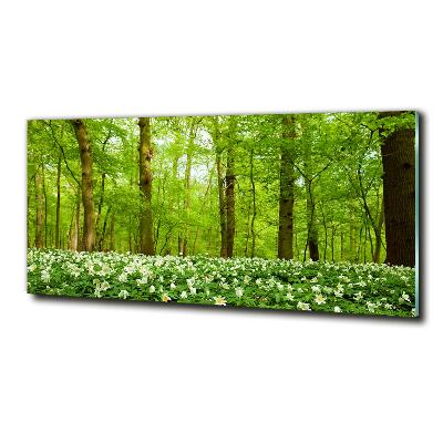 Quadro su vetro Fiori nella foresta