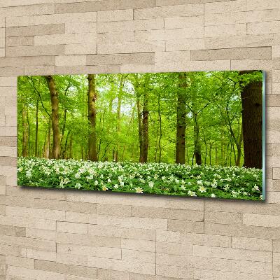 Quadro su vetro Fiori nella foresta