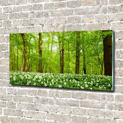 Quadro su vetro Fiori nella foresta