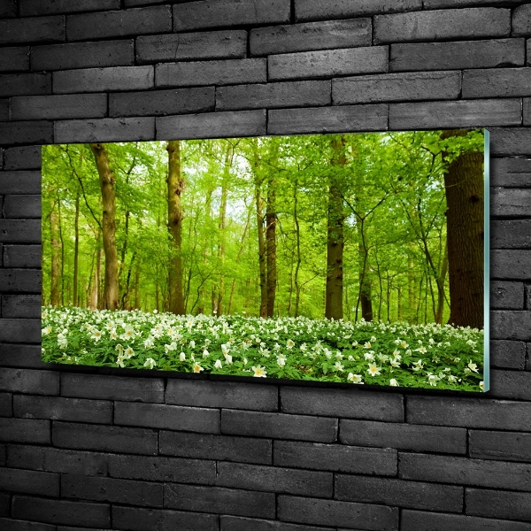 Quadro su vetro Fiori nella foresta