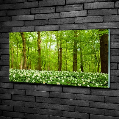 Quadro su vetro Fiori nella foresta