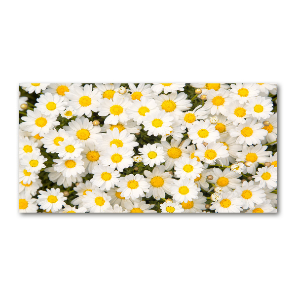 Quadro vetro Margherite