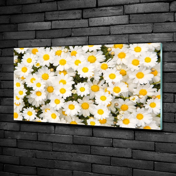 Quadro vetro Margherite