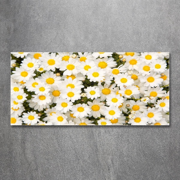 Quadro vetro Margherite