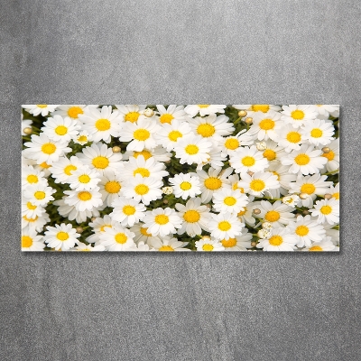 Quadro vetro Margherite