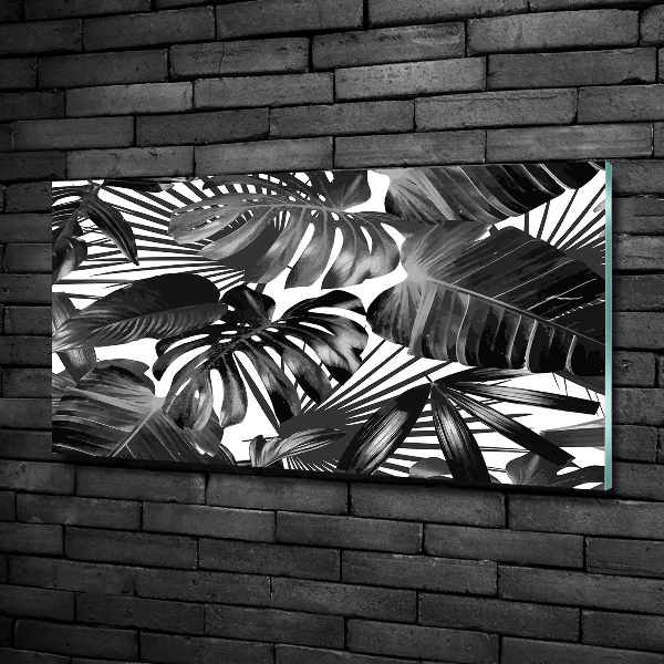 Quadro vetro Foglie tropicali
