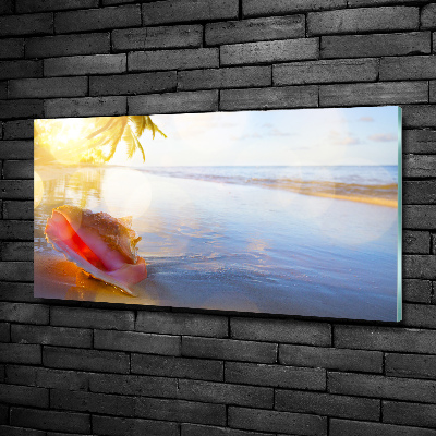 Quadro in vetro Una conchiglia sulla spiaggia
