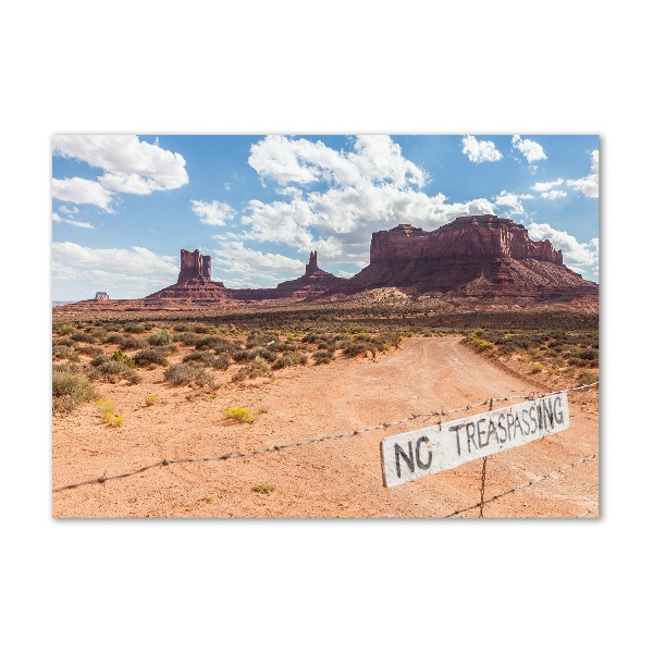 Quadro in verde Arizona, Stati Uniti