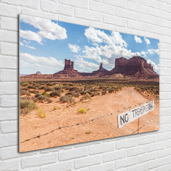 Quadro in verde Arizona, Stati Uniti