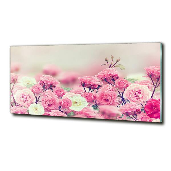 Quadro in vetro Fiori di rosa selvatica