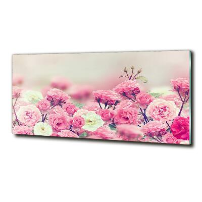 Quadro in vetro Fiori di rosa selvatica