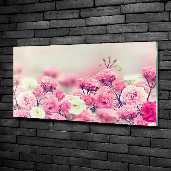 Quadro in vetro Fiori di rosa selvatica