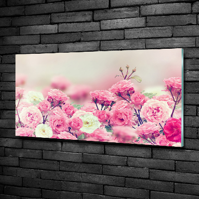 Quadro in vetro Fiori di rosa selvatica