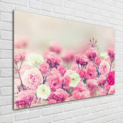 Quadro in vetro Fiori di rosa selvatica