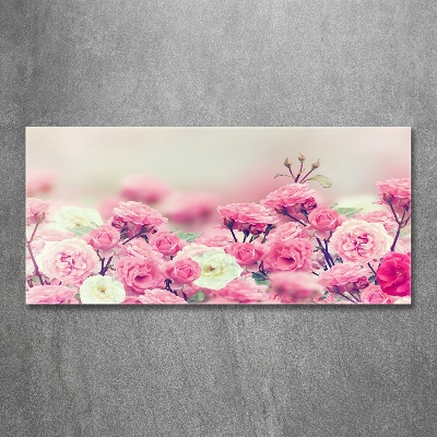 Quadro in vetro Fiori di rosa selvatica