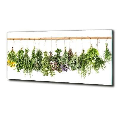 Quadro su vetro Erbe aromatiche su un filo