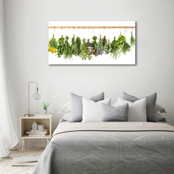 Quadro su vetro Erbe aromatiche su un filo