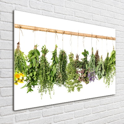 Quadro su vetro Erbe aromatiche su un filo