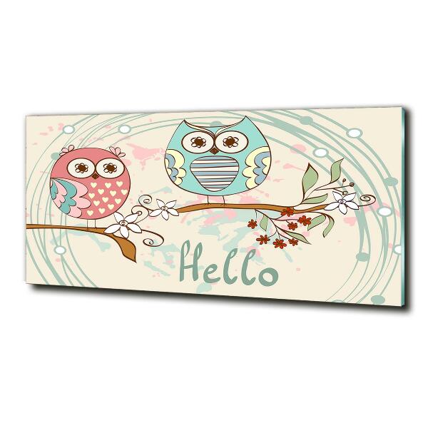 Quadro su vetro Gufi