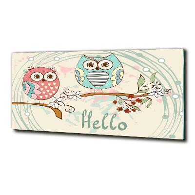 Quadro su vetro Gufi