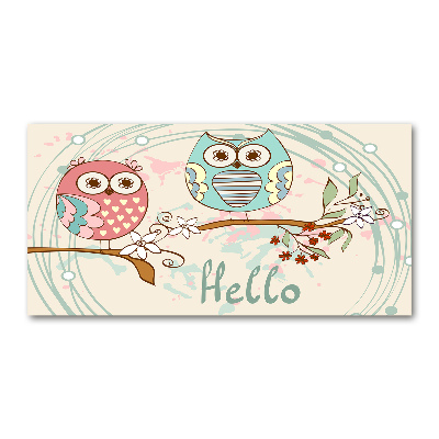 Quadro su vetro Gufi