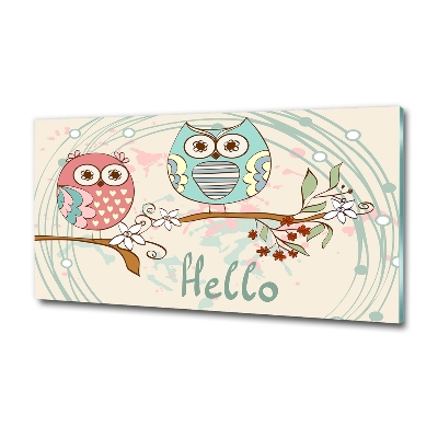 Quadro su vetro Gufi