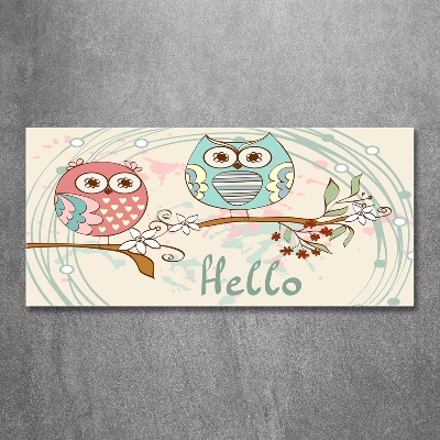 Quadro su vetro Gufi