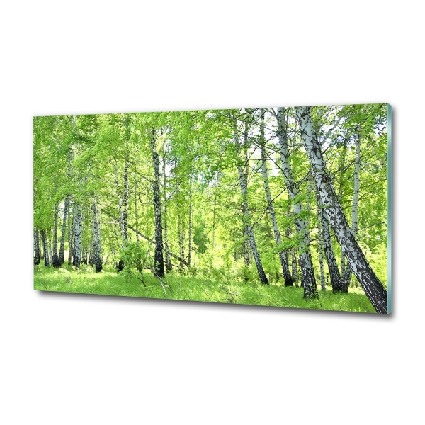 Quadro vetro Foresta di betulle