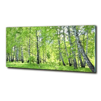 Quadro vetro Foresta di betulle