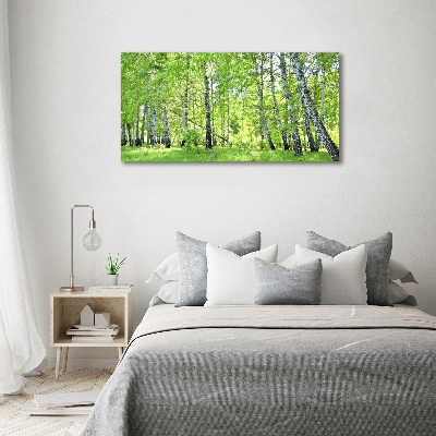 Quadro vetro Foresta di betulle